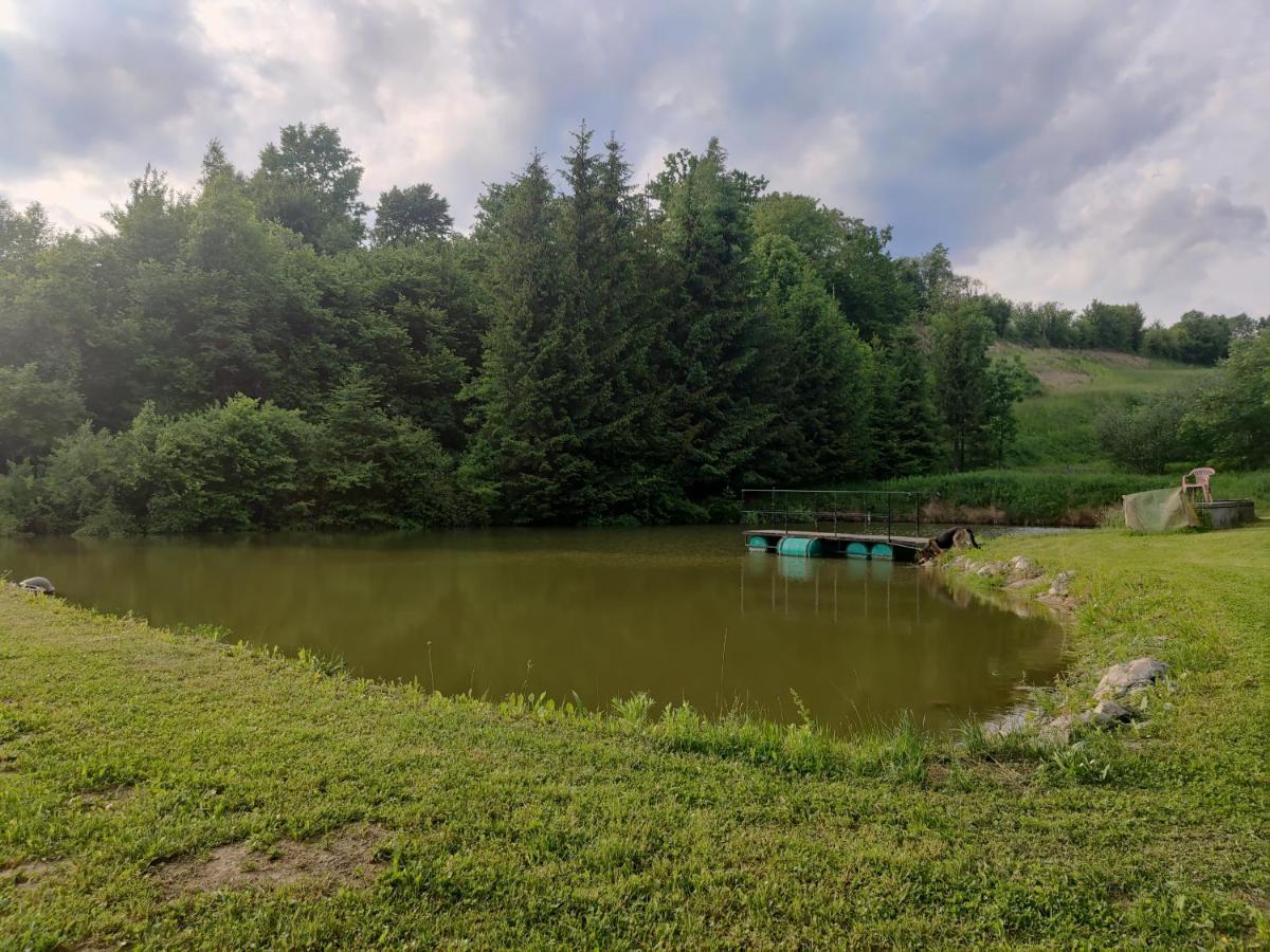 Hotel Przy Winogronie Uherce Mineralne Esterno foto